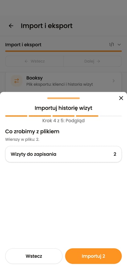 Podgląd importu historii z podsumowaniem dwóch wizyt do zapisania.