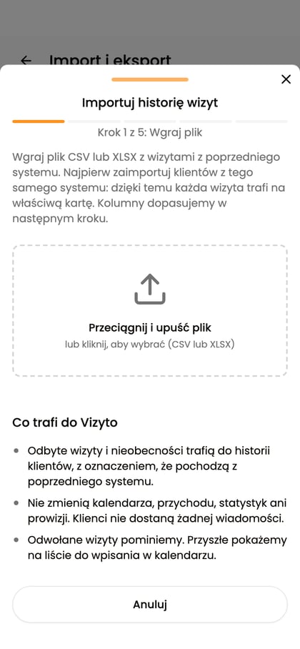 Okno Importuj historię wizyt na telefonie, krok Wgraj plik i lista Co trafi do Vizyto.