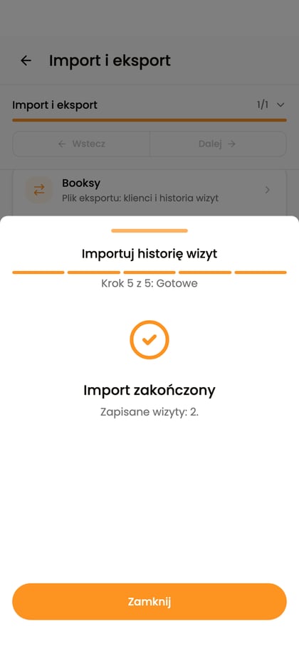 Ekran „Import zakończony” z informacją o dwóch zapisanych wizytach.