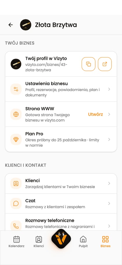 Karta „Twój profil w Vizyto” z adresem profilu i przyciskami kopiowania oraz otwarcia.
