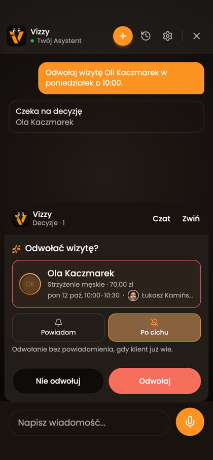 Panel „Decyzje” dla odwołania wizyty z wybraną opcją „Po cichu” i przyciskiem „Odwołaj”.