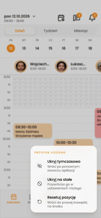 Menu Przycisk Vizziego z opcjami ukrywania i resetowania pozycji.